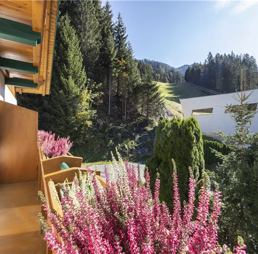 App. 1 Blick auf die Piste