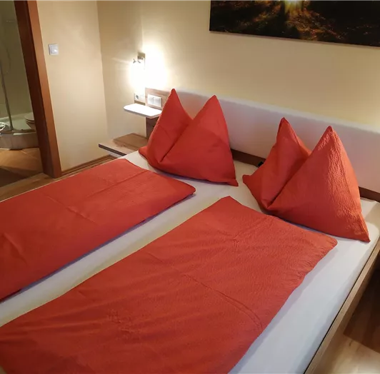 Apparment 1 Schlafzimmer