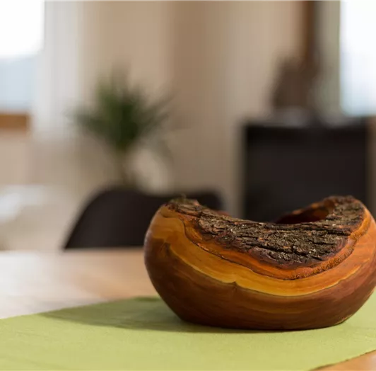 appartement-hoamatgfu¦êhl-13