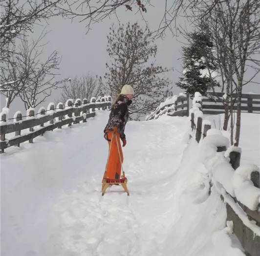 Aufstieg zur Rodelbahn Winterbauer 200 m entfernt