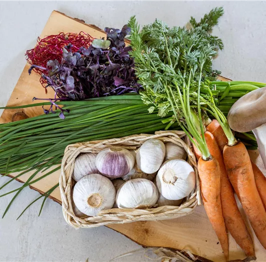 Aus dem Gemüsegarten