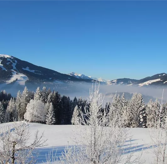 Ausblick aus der Ferienwohnung Richtung Wagrain