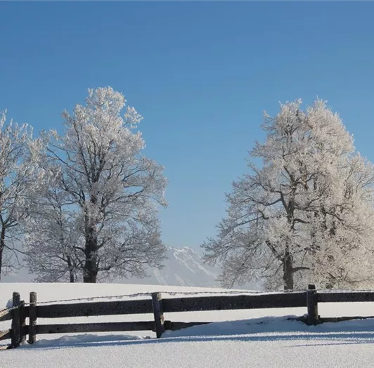 Ausblick Richtung Dachsteingebirge