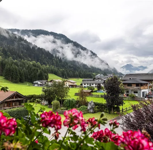 Ein malerisches Blick mit grünen Wiesen und Wolken über den Bergen. Bunte Blumen im Vordergrund verleihen der Szene Farbe.