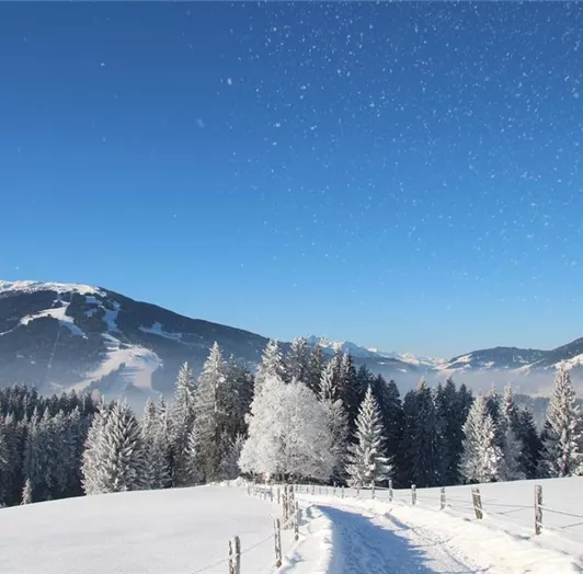 Ausblick Wanderweg von Reitdorf kommend