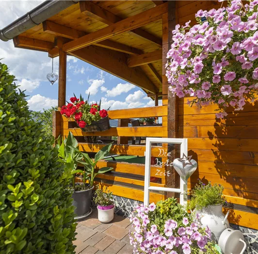 Außenaufnahme-Garten