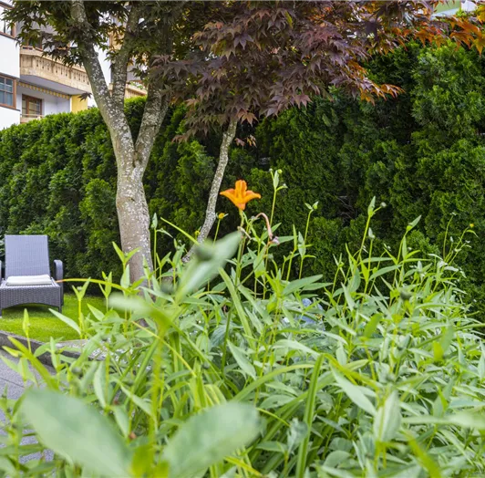 Außenfoto-Garten