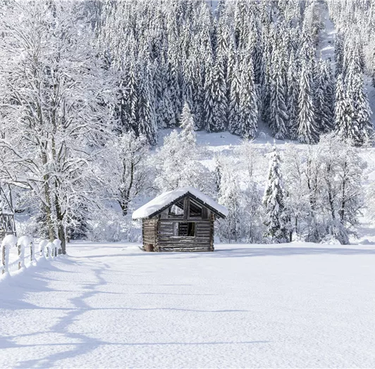 Die Aussicht vom Balkon auf das eigene Feld mit Nordic-Loipe.