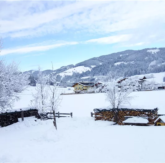 Aussicht vom Ausserraingut