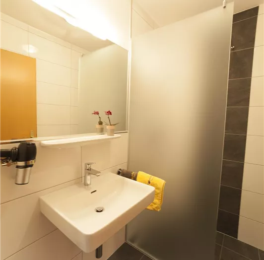 Badezimmer Appartement Sonnfeld Flachau