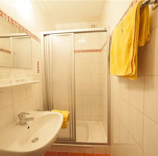 Badezimmer Typ B Ferienwohnung Sonnfeld