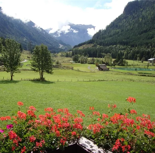 Balkonaussicht