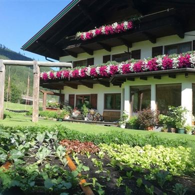 bauernhof-ennslehen-sommer-gross