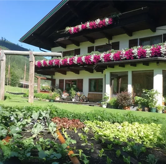 bauernhof-ennslehen-sommer-gross