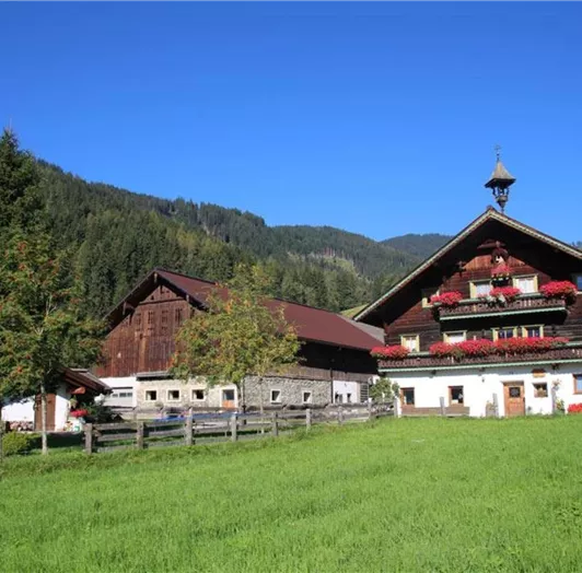 bauernhofurlaub-flachau-tiere-sommer-2065