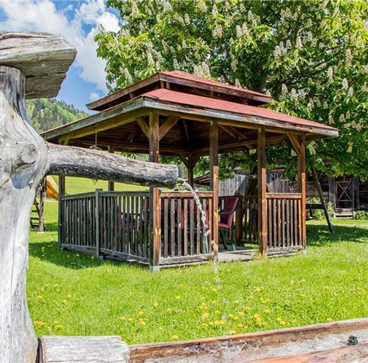 bauernhofurlaub-flachau-tiere-sommer-4118