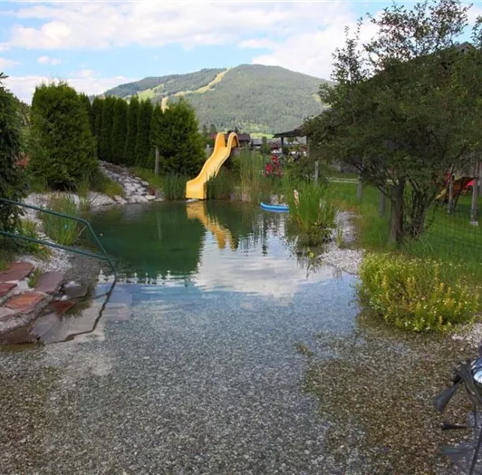 bauernhofurlaub-flachau-tiere-sommer-4145