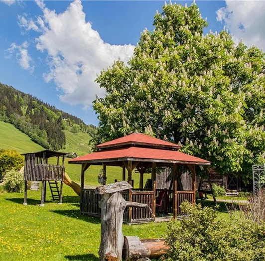 bauernhofurlaub-flachau002