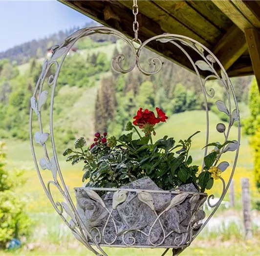 bauernhofurlaub-flachau005