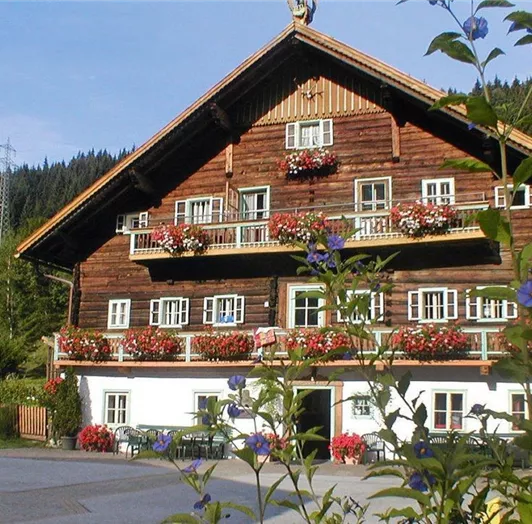 bauernhofurlaub-flachauwinkl-gindlgut-1-1024x725