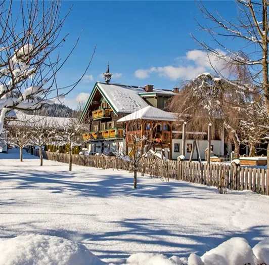 bauernhofurlaub-im-winter-flachau-gross