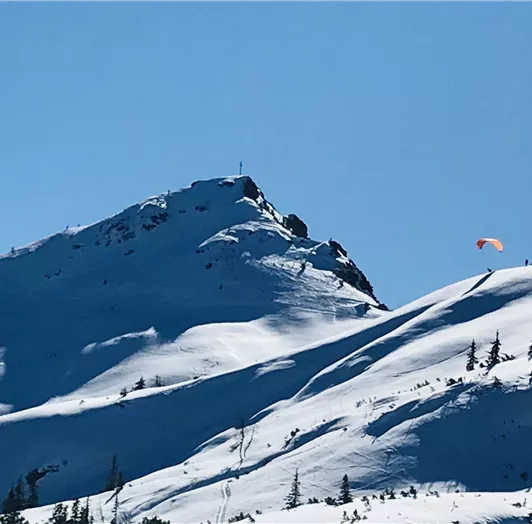 BC096ECF-9B88-477E-BFB8-9BF736D550DF