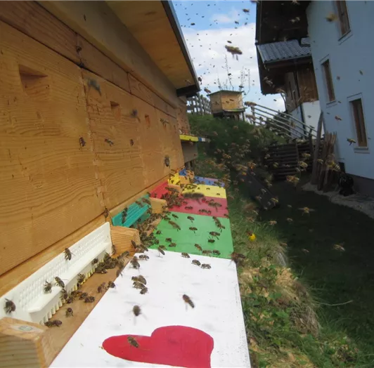 Bienen