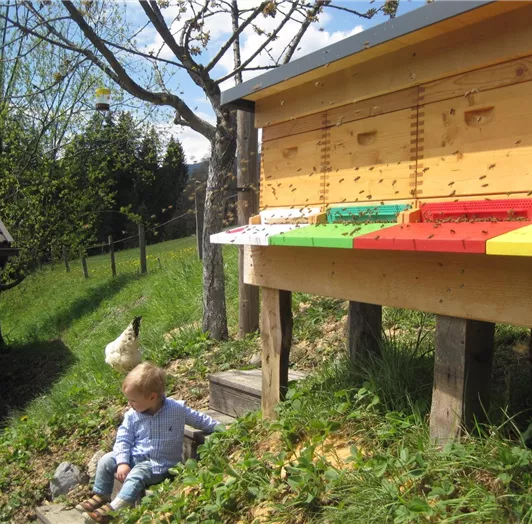 Bienenstand