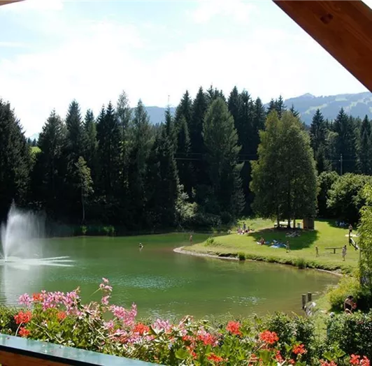 view to the lake Reitecksee