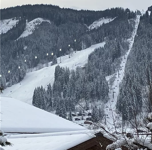 Blick auf die Weltcup Abfahrt