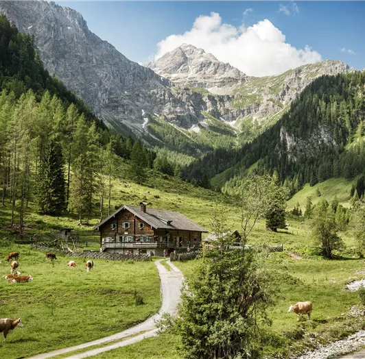 Blick ins Marbachtal