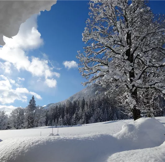 Blick nach Süden aus dem Garten
