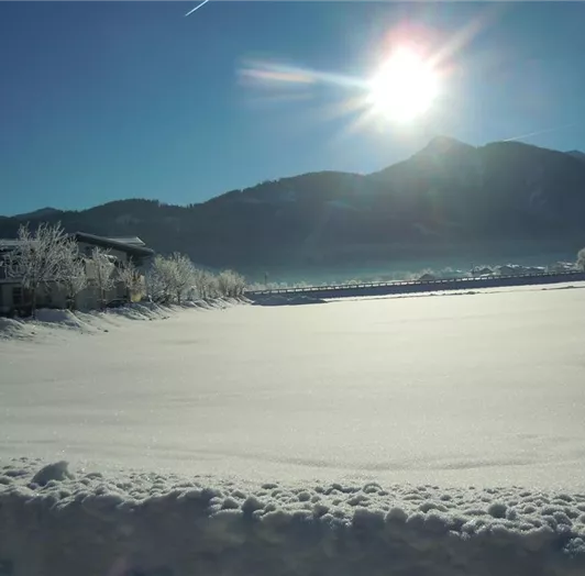 Blick vom Haus zum Lackenkogel