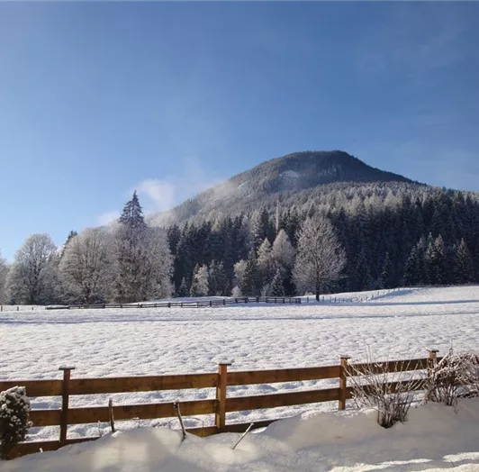 BlicknachSüdenamMorgen (1)
