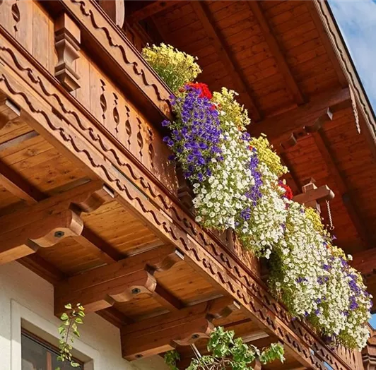 blumenschmuck-sommer-gross