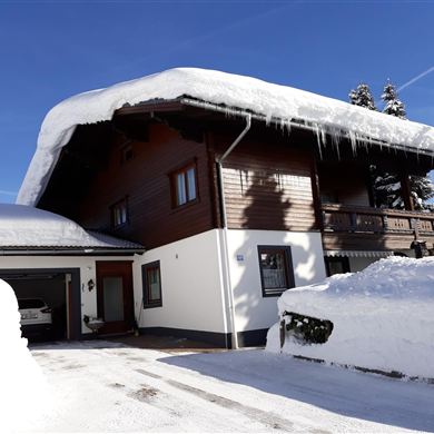 Brandtner Rudi - Haus im Winter