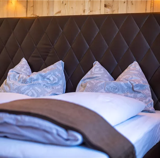 chalet-montis-flachau-Benzegg