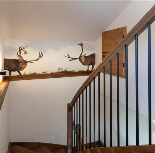 chalet-montis-flachau-Benzegg