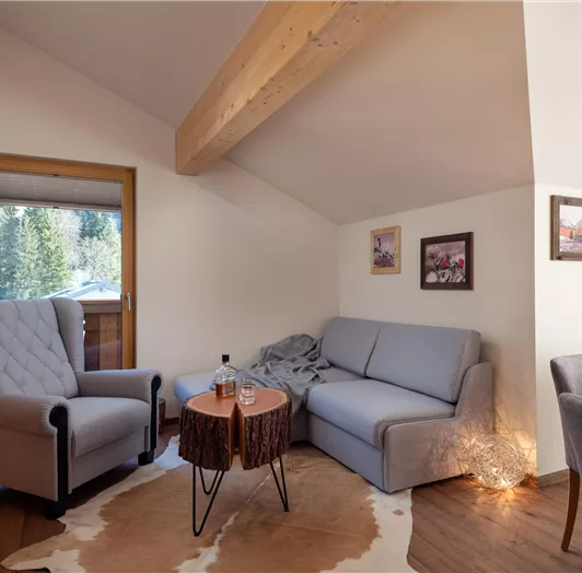 chalet-montis-flachau-Benzegg