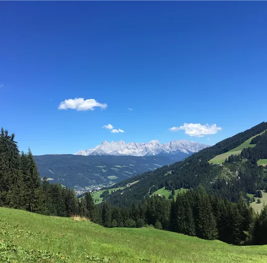 Dachstein-Blick