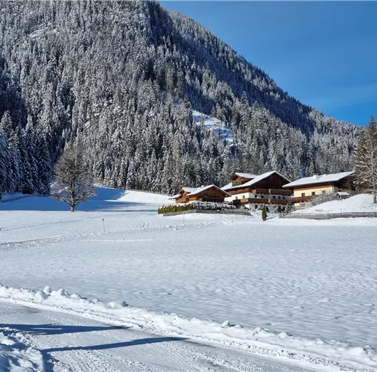 Das Hinterrohrgut im Winter