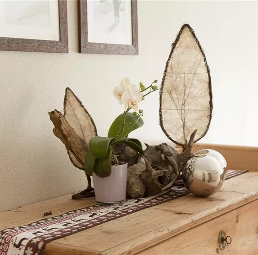 Deko Sonnfeld Flachau