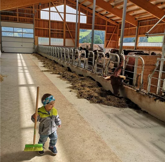 Die Kinder haben Spaß bei den Tieren