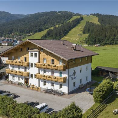 DJI_0841