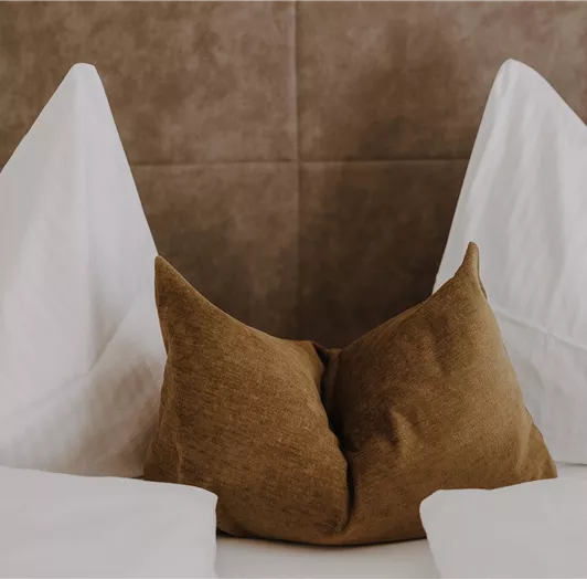 Ein gemütliches Bett mit weißen Kopfkissen und einem braunen Dekokissen.