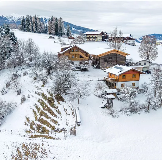 A snowy landscape with picturesque houses. In the background, mountains and trees are visible.