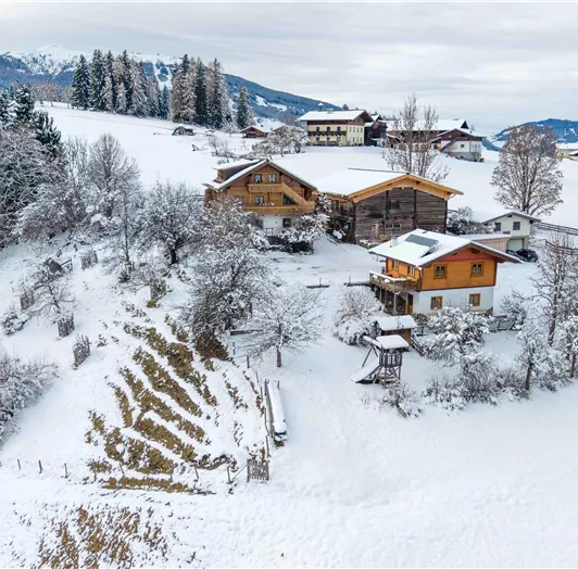 Eine verschneite Landschaft mit mehreren Häusern und Bäumen. Die Umgebung ist ruhig und winterlich, mit Bergen im Hintergrund.