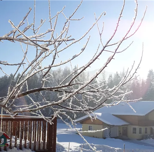 Winteridylle vor unserem Haus