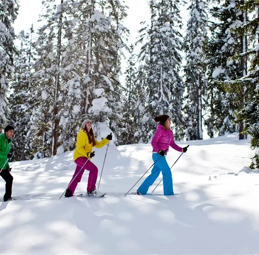 Durch den herrlichen winterlich weißen Wald © Salz