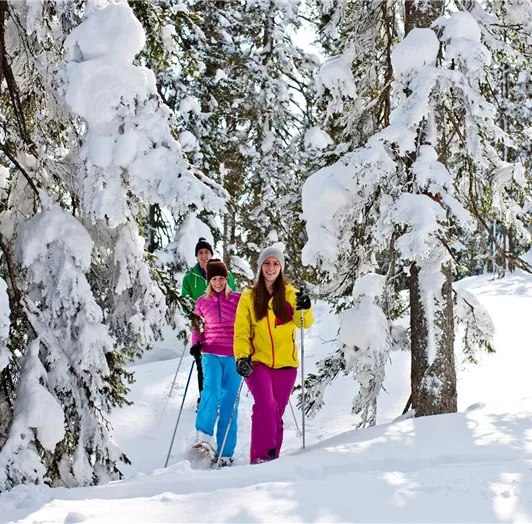 Durch den herrlichen winterlich weißen Wald © Salz